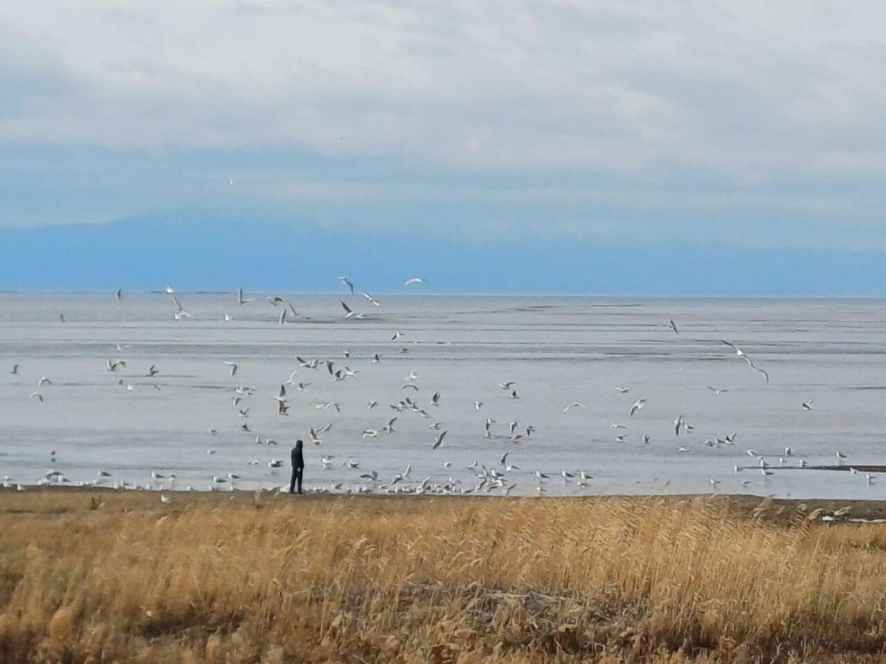 Hava sıcaklığı eksi 10'u gördü! Konya’nın denizi dondu 3
